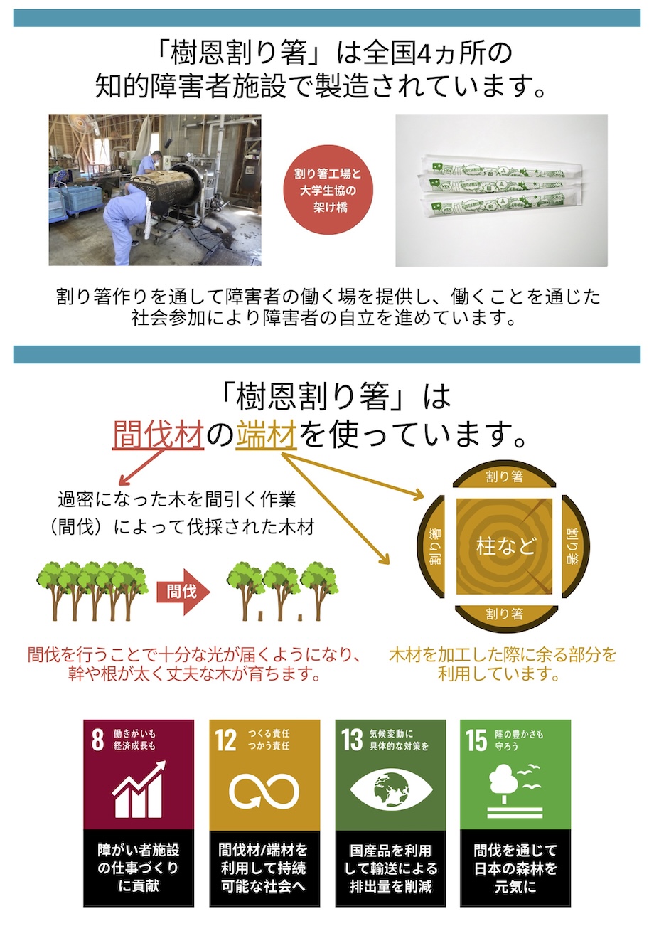 樹恩割り箸